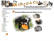 Tablet Screenshot of moehre-und-co.de